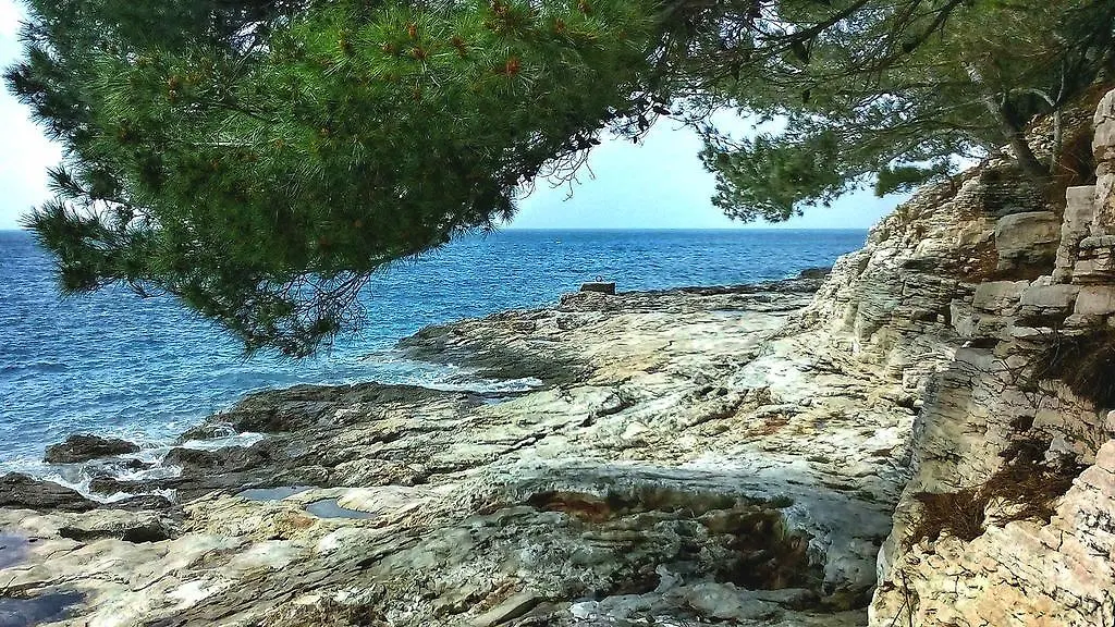 Apartment Sasa Pula